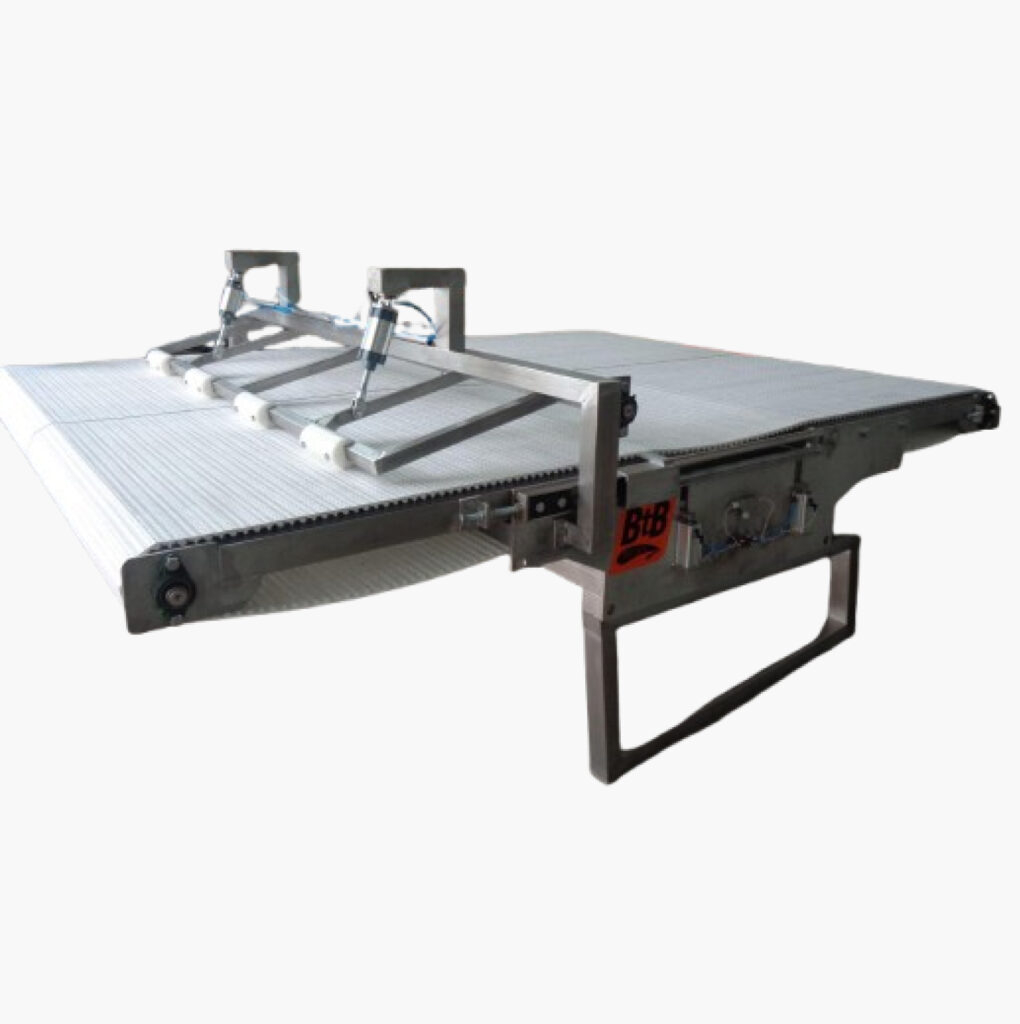Back-to-Back Conveyors for Fleshing Process